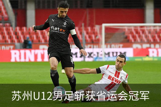 苏州U12男足斩获省运会冠军