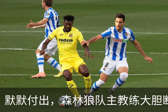 默默付出，森林狼队主教练大胆断言戈贝尔“首轮入选名人堂”